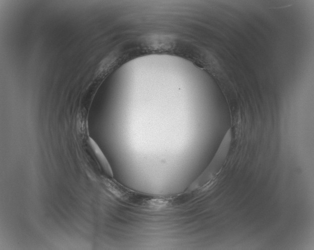 X0000080660176200701050952