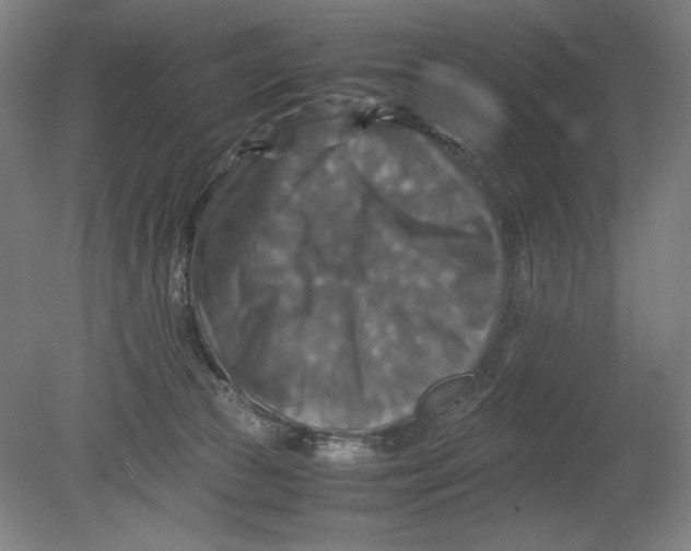 X0000080660177200701050952