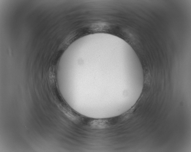 X0000080660179200701050952