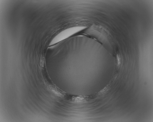 X0000080660180200701050952