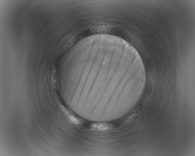 X0000080660181200701050952