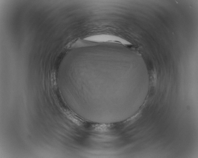 X0000080660182200701050952