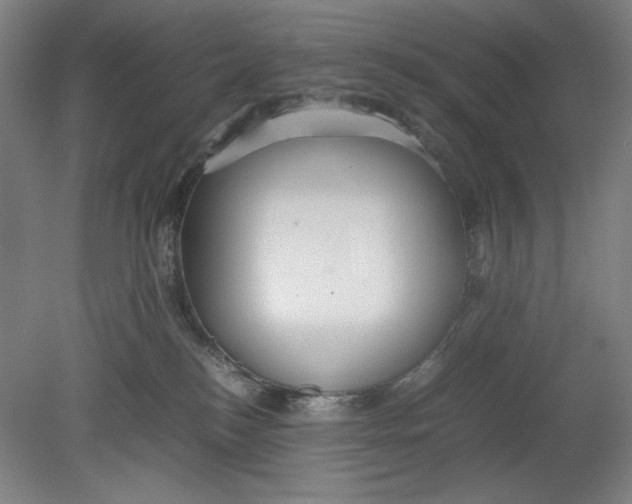 X0000080660184200701050952