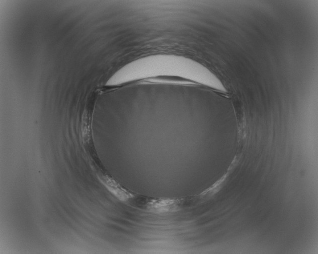 X0000080660186200701050952