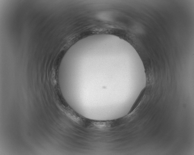 X0000080660187200701050952