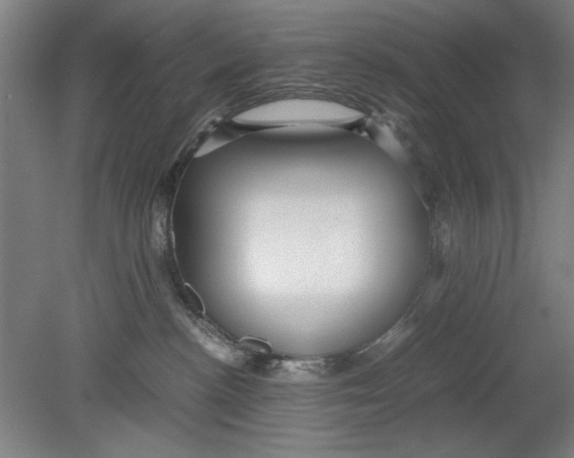 X0000080660188200701050952