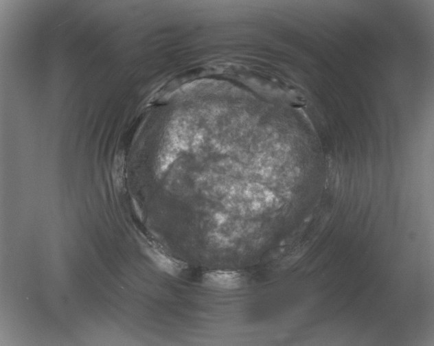 X0000080660189200701050952