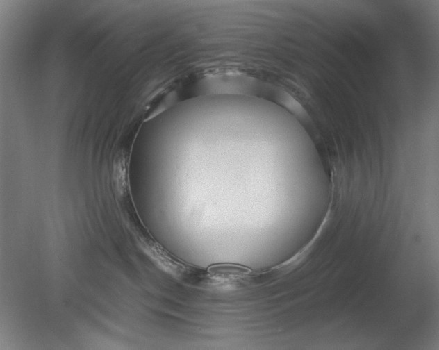 X0000080660190200701050952