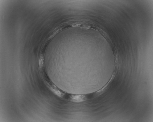 X0000080660191200701050952