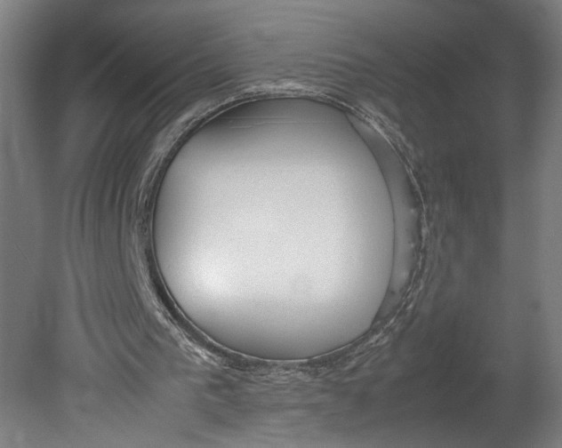 X0000080660193200701050951