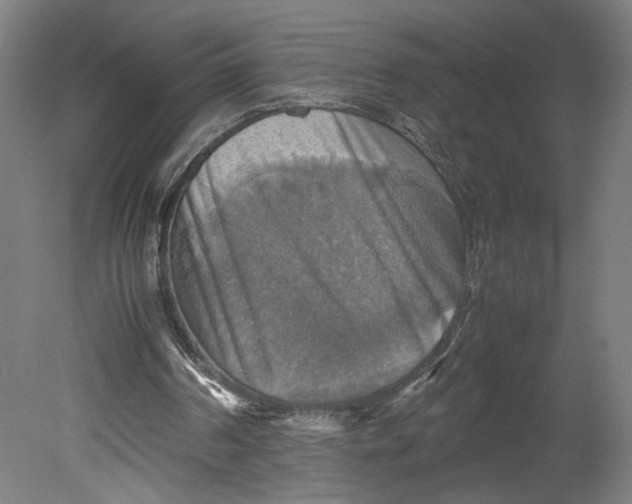 X0000080660194200701050951