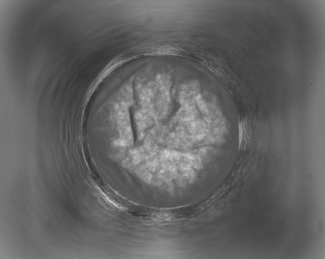 X0000080660195200701050951