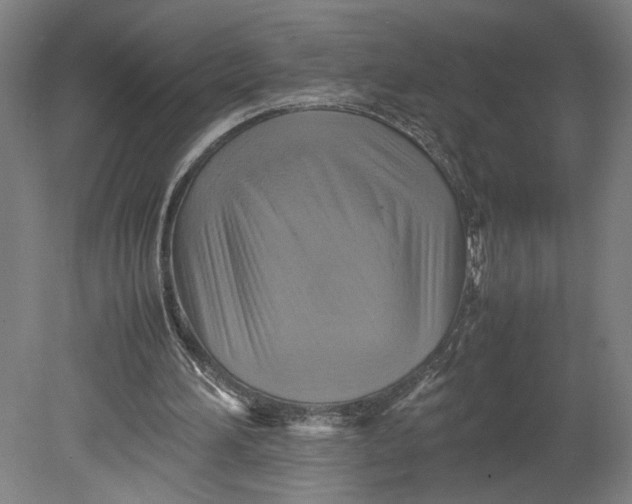 X0000080660196200701050951