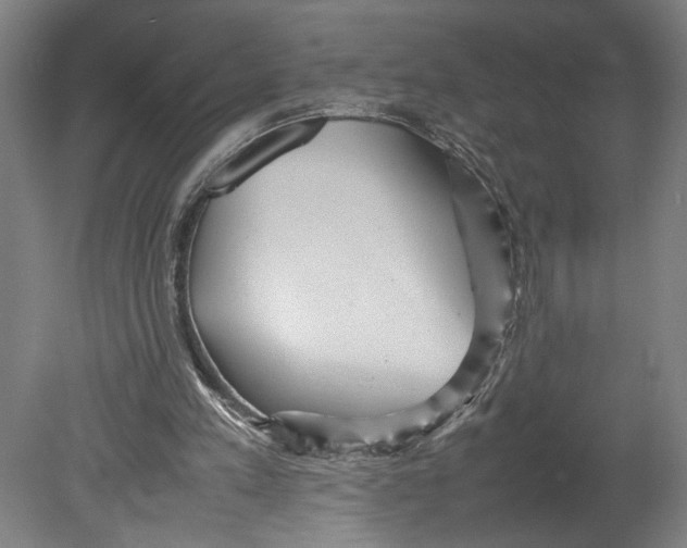 X0000080660197200701050951