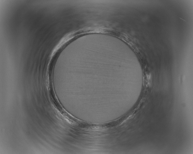 X0000080660198200701050951