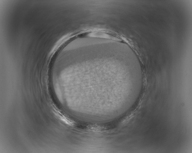 X0000080660199200701050951