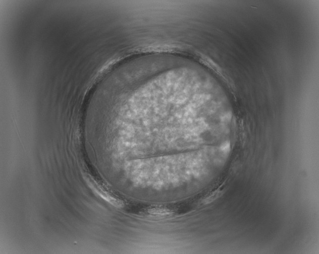 X0000080660203200701050951