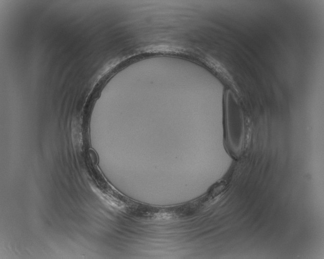 X0000080660204200701050951