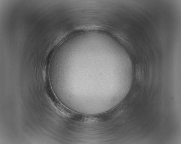 X0000080660206200701050951