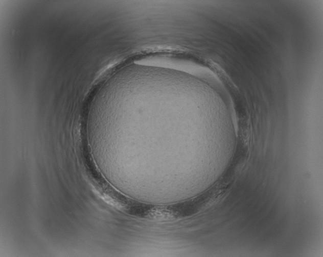 X0000080660207200701050951