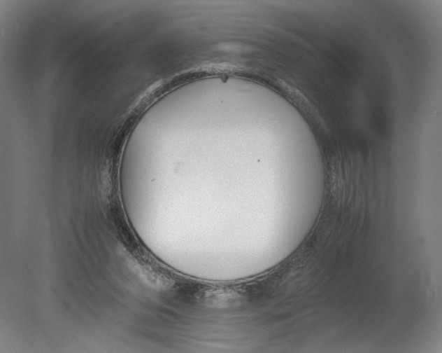 X0000080660208200701050951