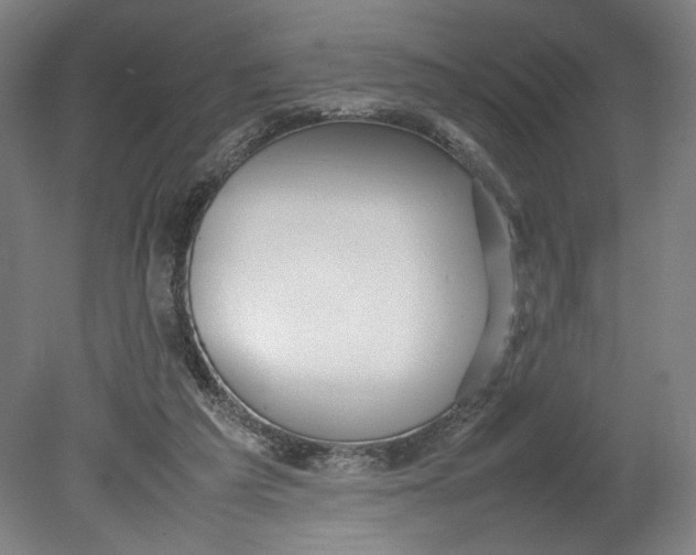 X0000080660209200701050951