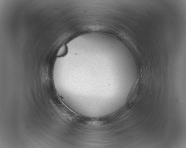 X0000080660212200701050951