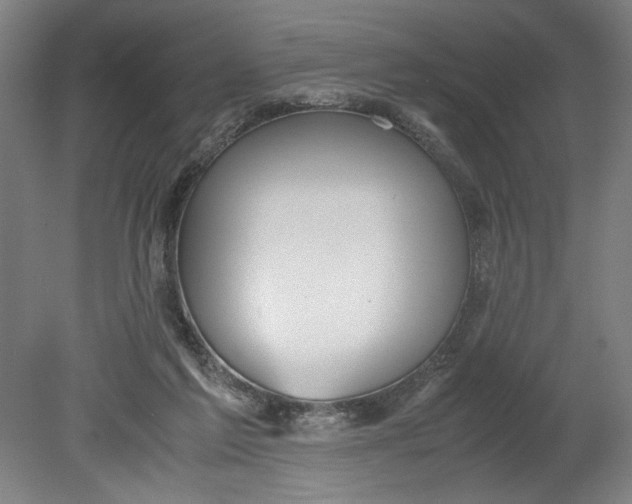 X0000080660213200701050951