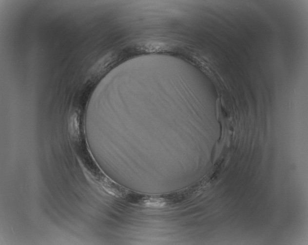 X0000080660214200701050951