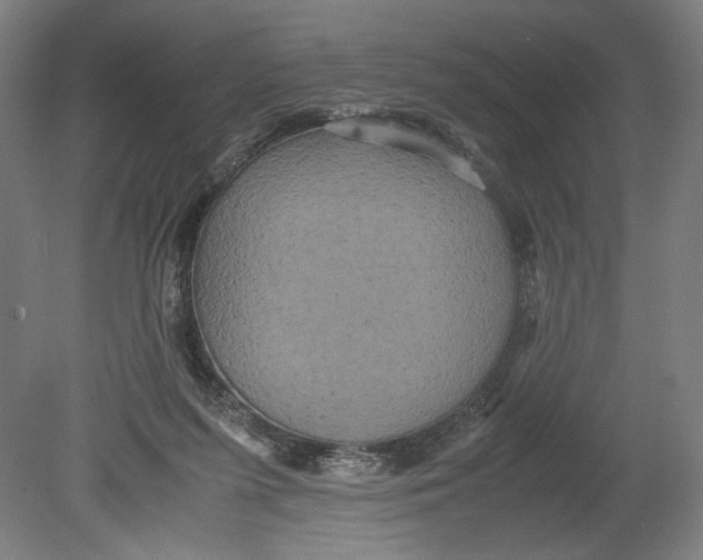 X0000080660215200701050951