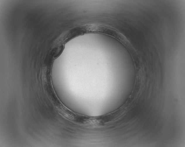 X0000080660217200701050951