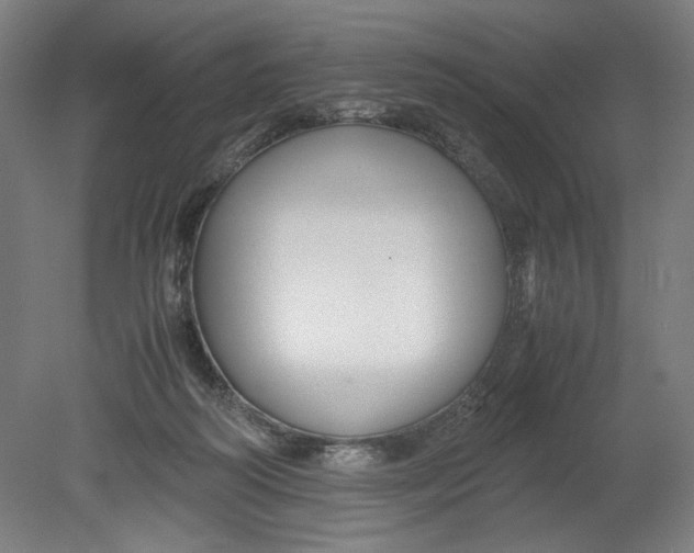 X0000080660218200701050951