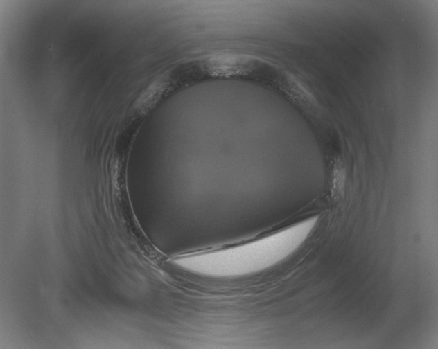 X0000080660219200701050951