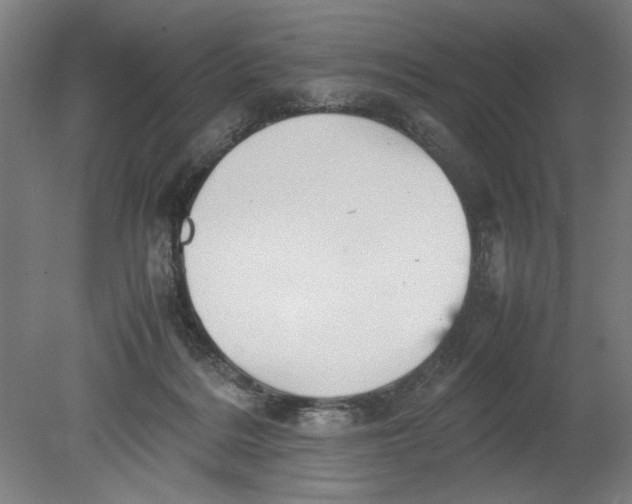 X0000080660220200701050951