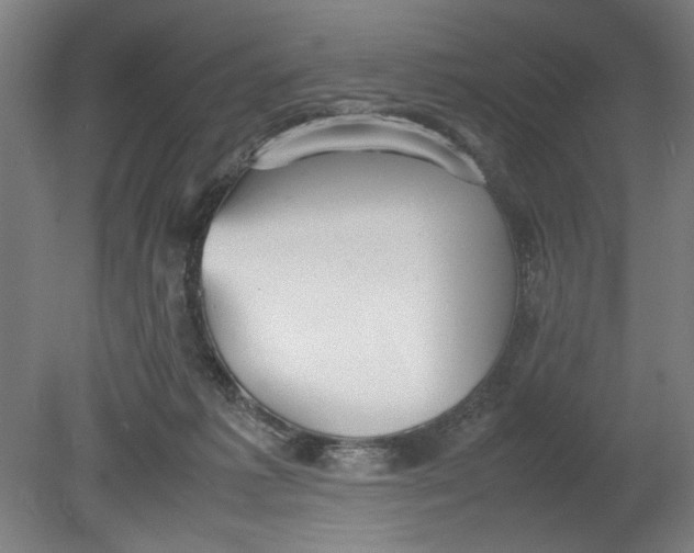 X0000080660221200701050951