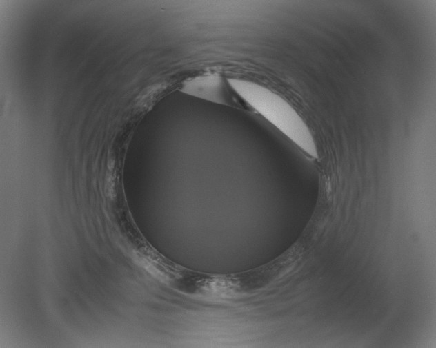 X0000080660223200701050951