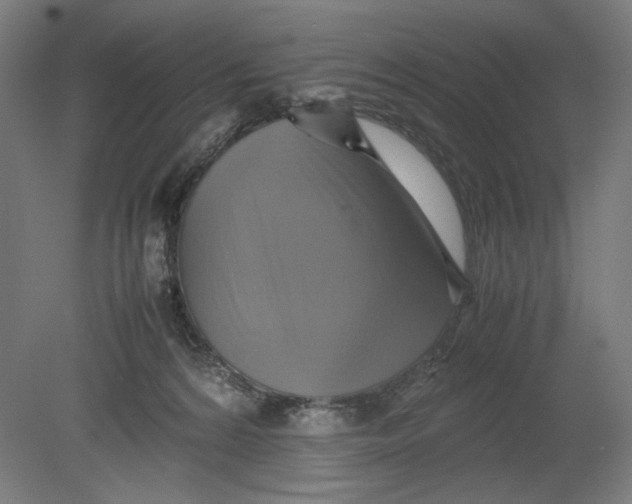 X0000080660224200701050951