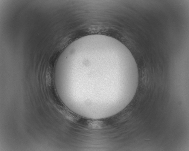 X0000080660226200701050951