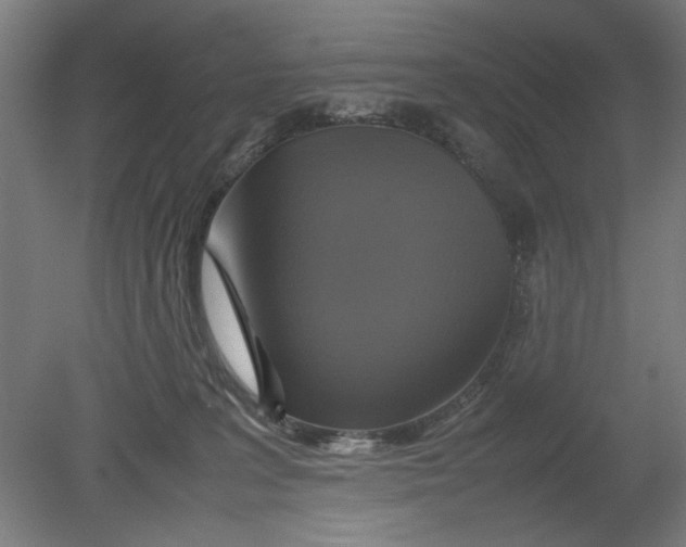 X0000080660227200701050951