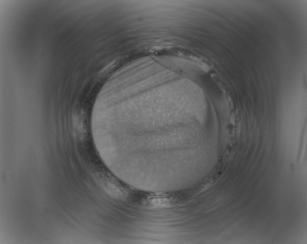 X0000080660228200701050951