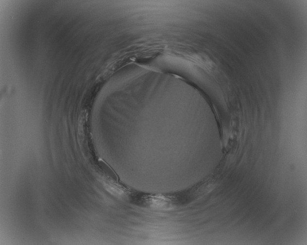 X0000080660229200701050951