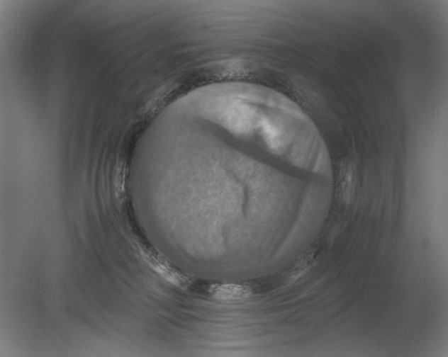 X0000080660230200701050951