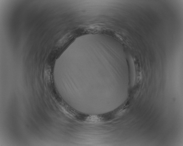 X0000080660231200701050951