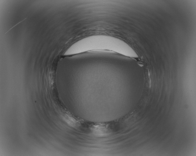 X0000080660232200701050951