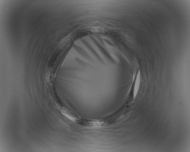 X0000080660233200701050951