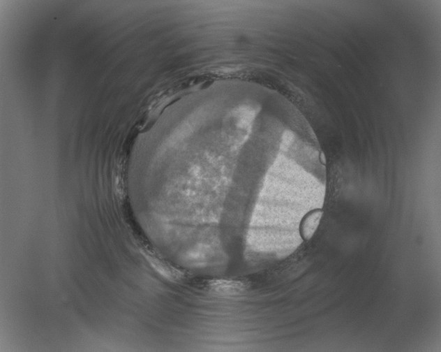 X0000080660234200701050951