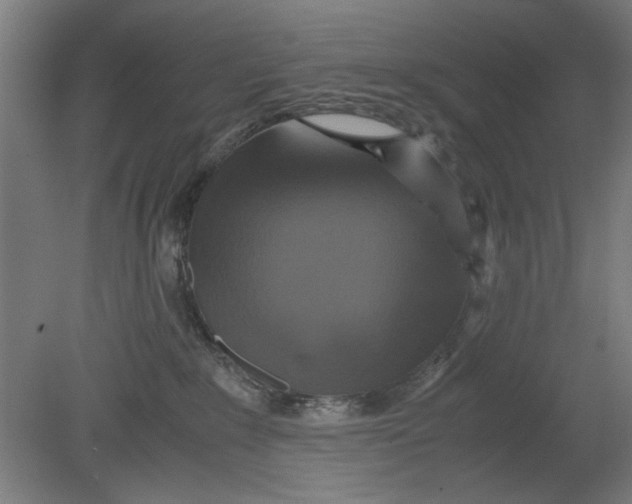 X0000080660235200701050951