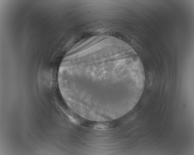 X0000080660236200701050951