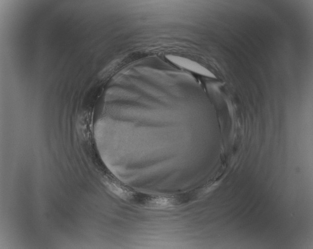 X0000080660237200701050951