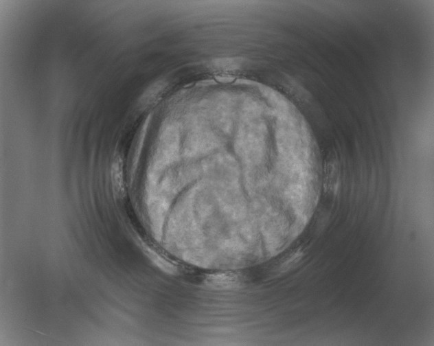 X0000080660238200701050951